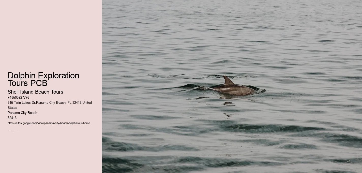 Dolphin Exploration Tours PCB