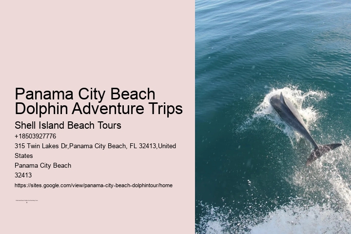 Panama City Beach dolphin exploration tours