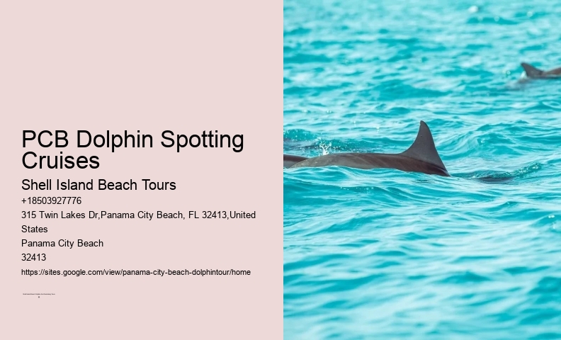 Panama City Beach Dolphin Tours